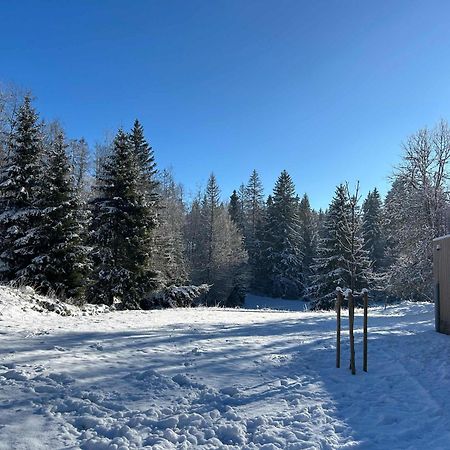 Gite De Prestige En Pleine Nature Prémanon Exteriör bild