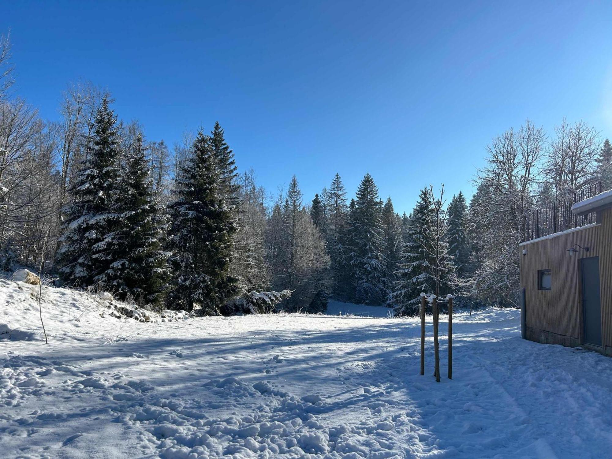 Gite De Prestige En Pleine Nature Prémanon Exteriör bild